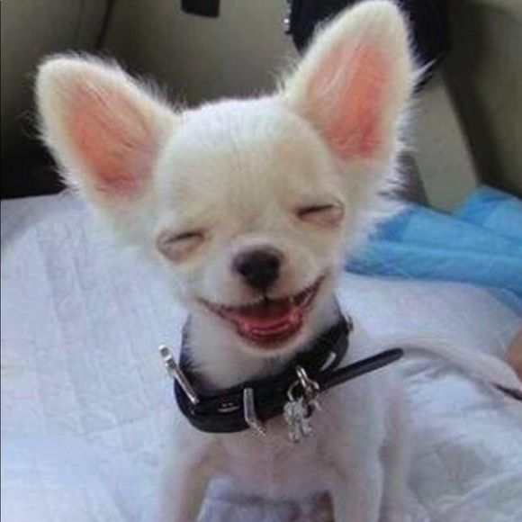 ✨LIKE & GET AN OFFER✨💸 - Picture 1 of 1